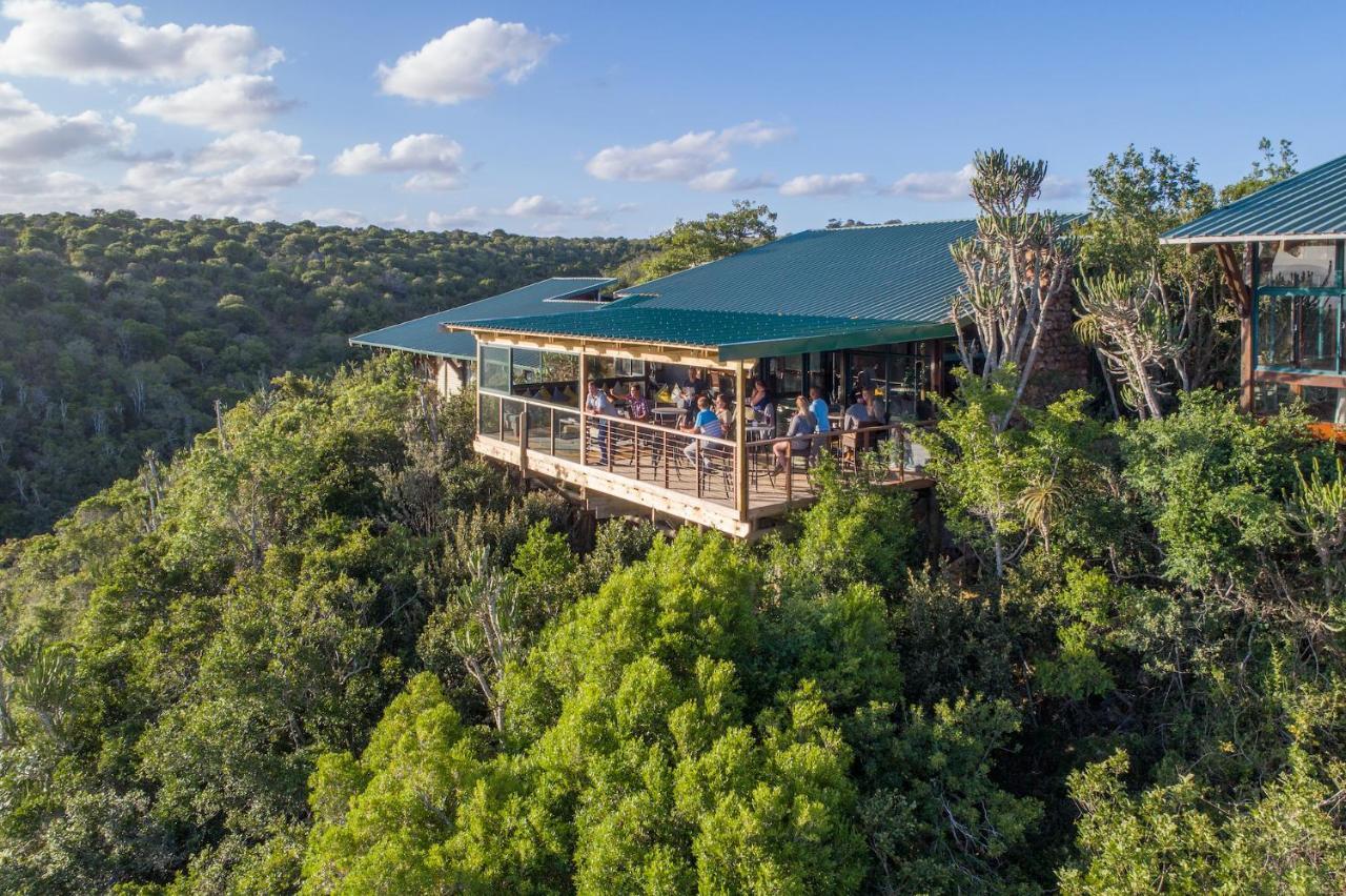Kariega Game Reserve Main Lodge Kenton-on-Sea Eksteriør billede